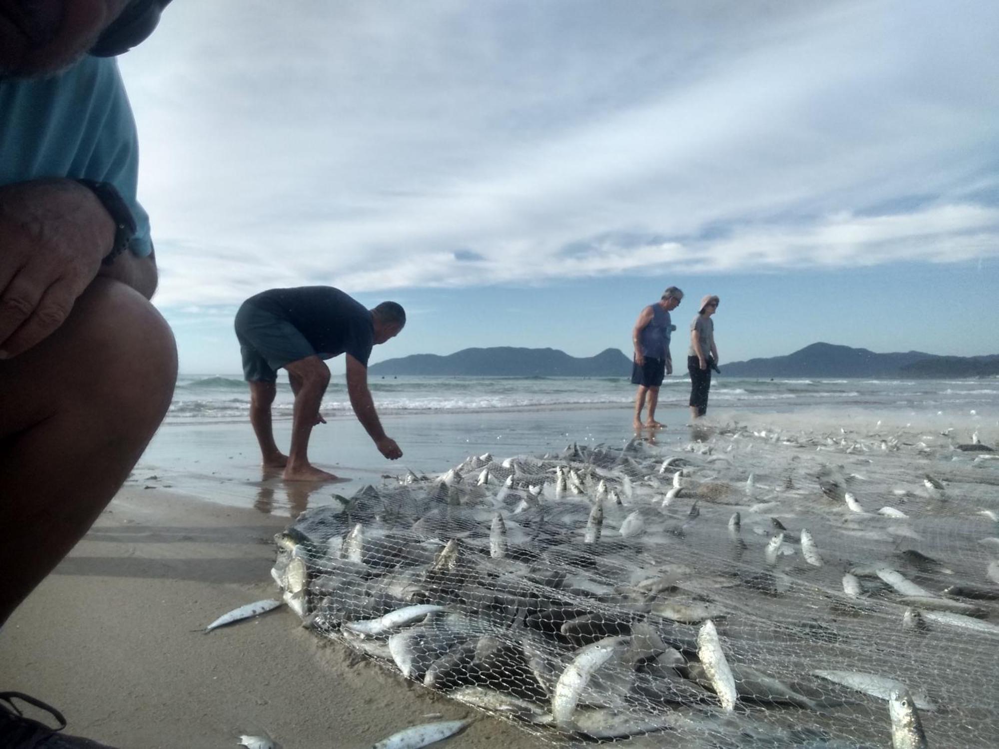 Charmoso E Moderno No Paraiso E Proximo Ao Aeroporto Florianopolis